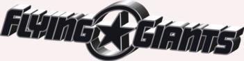 3 Dimensional Flying Giants decal - black rc digital decal